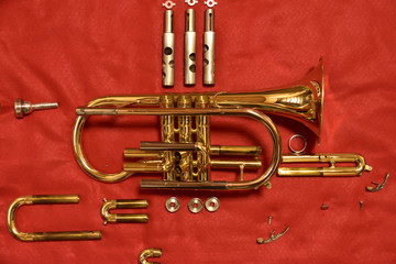 分解されたコルネット