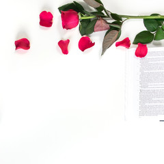 Red rose, red petals and a Bible on a white table. Clean white background. 
