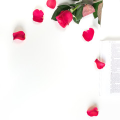 Red rose, red petals and a Bible on a white table. Clean white background. 