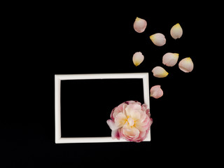 Blank photo frame and white tulip over black background