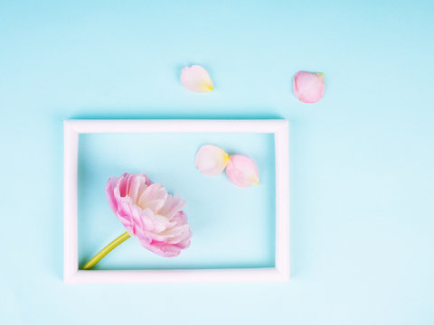 Blank photo frame and white tulip over blue background