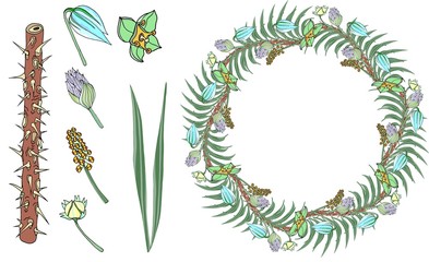 Set of floral elements2