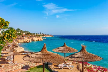 Fotobehang Sunny resort beach with palm tree at the coast shore of Red Sea in Sharm el Sheikh, Sinai, Egypt, Asia in summer hot. Bright sunny light © oleg_p_100