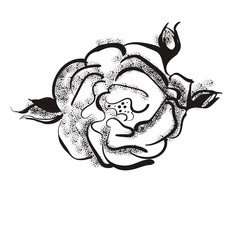 Tattoo studio emblems with professional equipment flowers and leaves anchor skull swallows isolated vector illustration