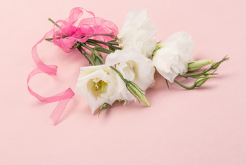 Fototapeta na wymiar bouquet of white flowers on pink background