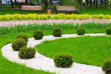 Flowerbed decoration of the city park. Flowerbed with tulips. Landscape design