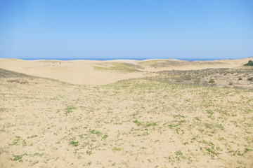 鳥取砂丘の風景 ドローン空撮