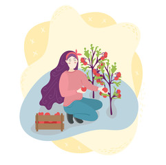 Woman farmer is harvesting tomatoes in box. Planting vegetables in a garden. Season rural agriculture harvest work scene. Isolated flat trendy cartoon modern style Illustration for web and print