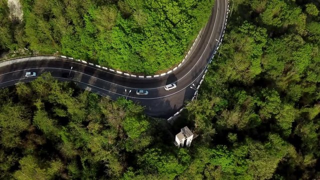 Aerial top down view: of cars driving on zig zag winding road through lush dense spruce forest on mountain slope.