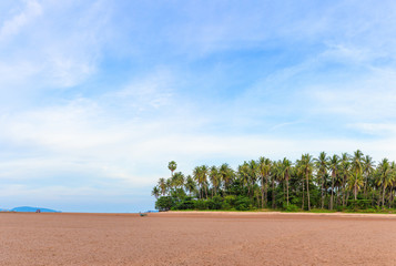Fototapeta na wymiar Panorama,Tropical landscape with dry beach,with the background is the coconut tree and mountain,blue sky at Chumphon,Thailand