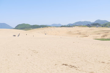 Fototapeta na wymiar 鳥取砂丘の風景