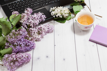 Obraz na płótnie Canvas Beautiful branch of white and violet lilac flowers with opened violet note-book and black opened laptop, lying on the white wooden background with cup of tea, mock up perspective view