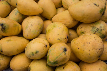 Pile of mangoes