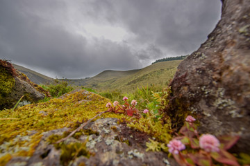 scenery at sao miguel 