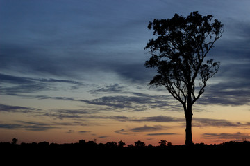 Sunset in country side