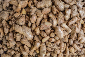 Organic ginger root filling up the frame