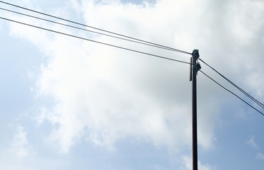 landscape of electric pole have cloud on background