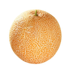 Netzmelone