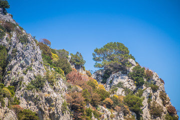 Fototapeta na wymiar Die bekannten Faraglioni Felsen vor der Insel Capri, Italien