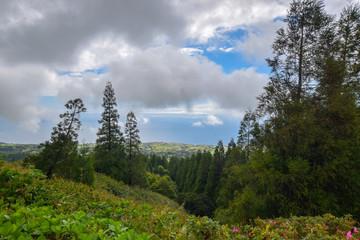scenery at sao miguel 