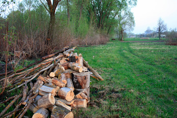 Natural wood background - closeup of chopped firewood. Firewood stacked and prepared for winter. A pile of firewood by the road.