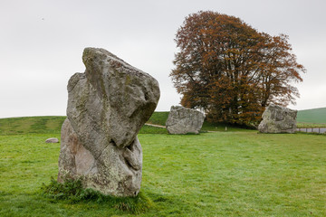 Details of stones and environs in the Prehistoric Avebury Stone Circle, Wiltshire, England, UK