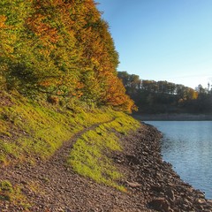autumn lake