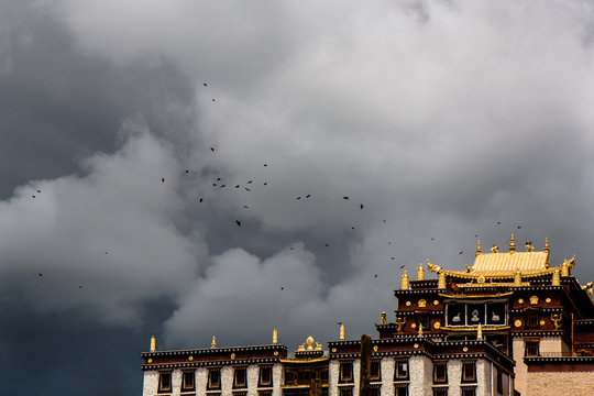 ein dramatischer Himmel mit davonfliegenden V&ouml;geln &uuml;ber der in Gold leuchtenden Klosteranlage in china