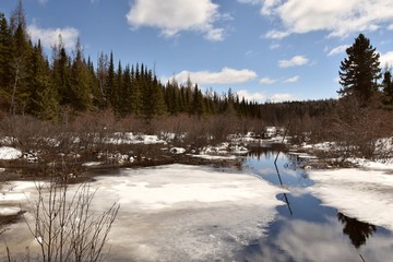 Ruisseau printanier au Canada