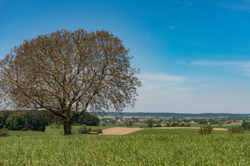 idyllic landscape with blue sky in Germany Bavaria