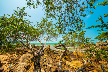 By the sea on hot days.59