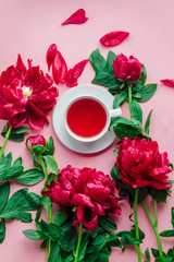 White cup of tea with peony flower petals on pink background