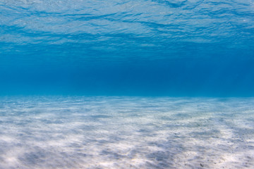 Sandy seabed