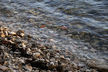 kroatischer strand im sonnenuntergang