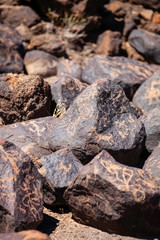 Petroglyphs in the Arizona Desert
