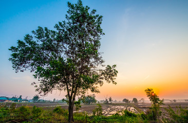 Morning light in the countryside.3