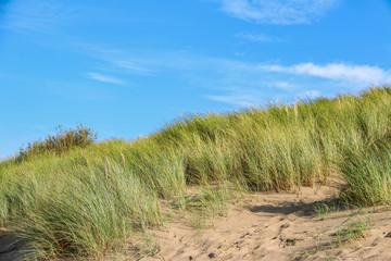 Dünenlandschaft mit blauem Himmel auf Sylt