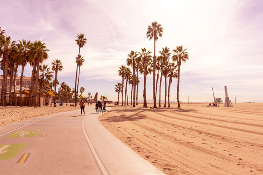 Venice beach vibes picture with palm trees, endless sand shore and happy people walking/riding.