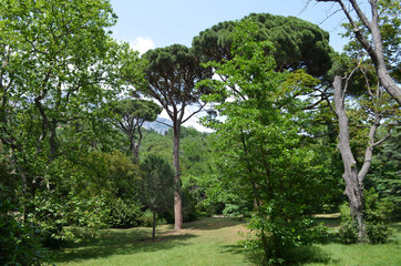 the Vorontsov Palace with the Park and sculptures