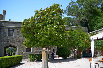 the Vorontsov Palace with the Park and sculptures