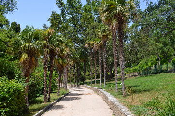 the Vorontsov Palace with the Park and sculptures