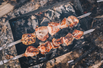 Close-up barbecue pork shashlik on the grill in nature