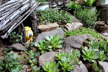 summer garden decor flowers in pots