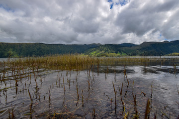 scenery at the azores (sao miguel)