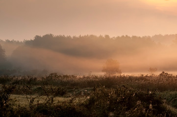 Morgennebel über einem Feld bei Sonnenaufgang