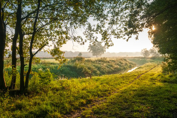 Sonnenaufgang im Wald mit Morgennebel