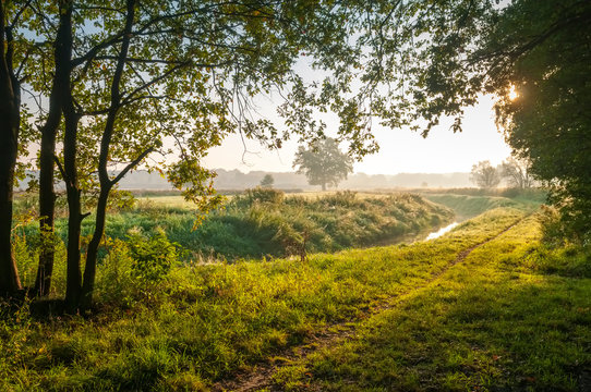 Sonnenaufgang im Wald mit Morgennebel