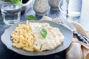 Fricassee, chicken meat in a creamy sauce, with pasta, horizontal