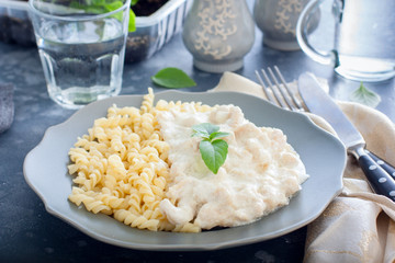 Fricassee, chicken meat in a creamy sauce, with pasta, horizontal