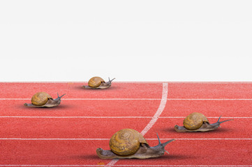 Snail effort running on red rubber track isolated on white